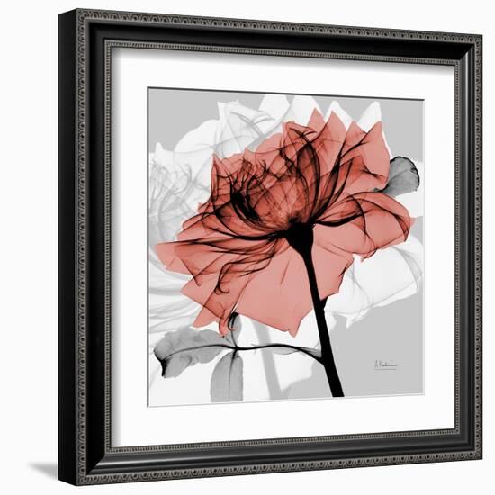 Rose on Gray 2-Albert Koetsier-Framed Art Print