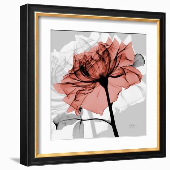 Rose on Gray 2-Albert Koetsier-Framed Art Print