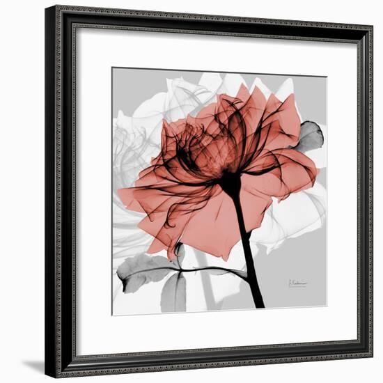 Rose on Gray 2-Albert Koetsier-Framed Premium Giclee Print