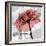 Rose on Gray 2-Albert Koetsier-Framed Premium Giclee Print