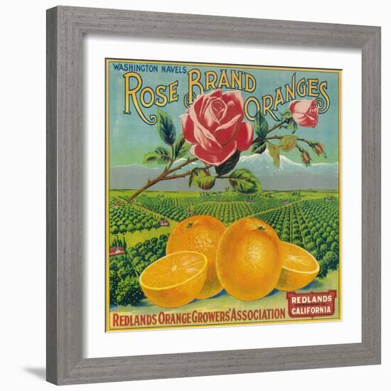 Rose Orange Label - Redlands, CA-Lantern Press-Framed Art Print