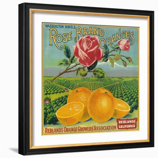 Rose Orange Label - Redlands, CA-Lantern Press-Framed Art Print