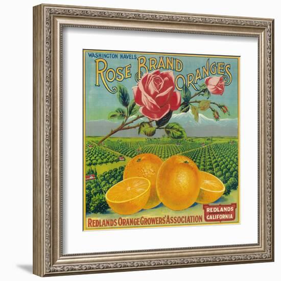 Rose Orange Label - Redlands, CA-Lantern Press-Framed Art Print