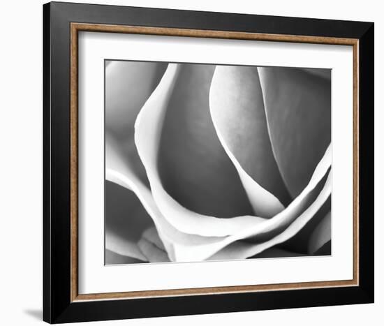 Rose Petal Detail-B^ Marcela-Framed Art Print