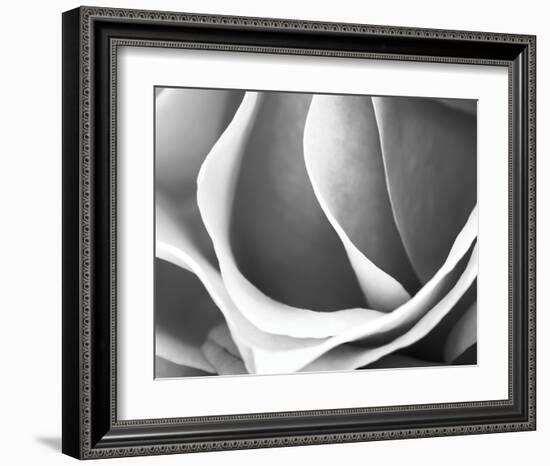 Rose Petal Detail-B^ Marcela-Framed Art Print