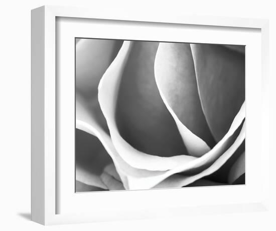 Rose Petal Detail-B^ Marcela-Framed Art Print