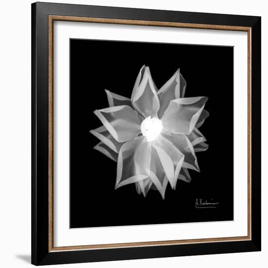 Rose Petals 1-Albert Koetsier-Framed Art Print