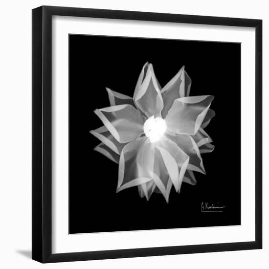 Rose Petals 1-Albert Koetsier-Framed Art Print