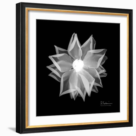 Rose Petals 1-Albert Koetsier-Framed Art Print