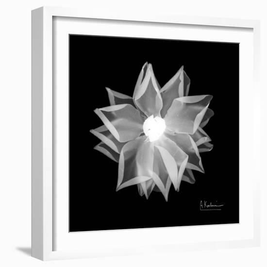 Rose Petals 1-Albert Koetsier-Framed Premium Giclee Print