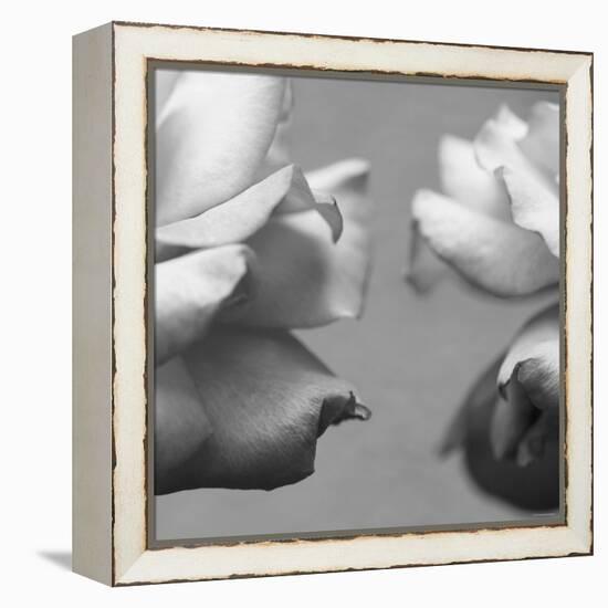 Rose Petals I-Nicole Katano-Framed Stretched Canvas