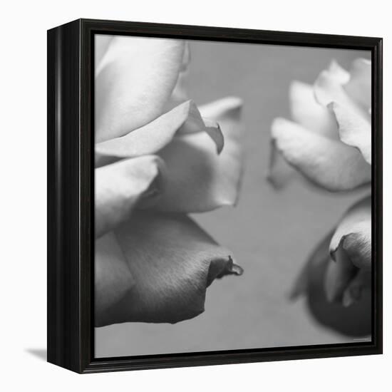 Rose Petals I-Nicole Katano-Framed Stretched Canvas