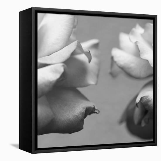 Rose Petals I-Nicole Katano-Framed Stretched Canvas