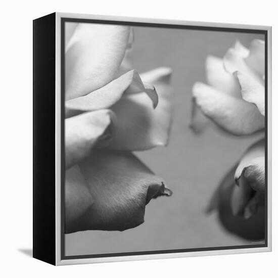 Rose Petals I-Nicole Katano-Framed Stretched Canvas