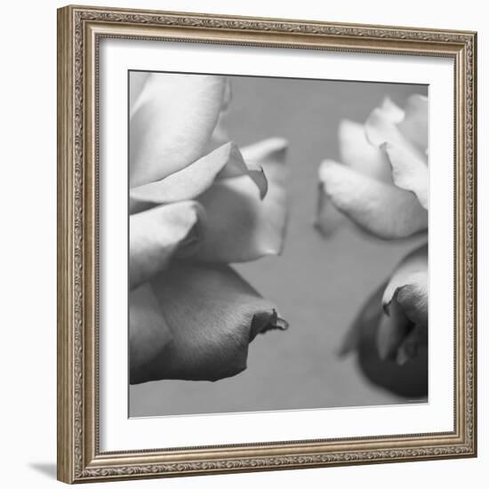 Rose Petals I-Nicole Katano-Framed Photo