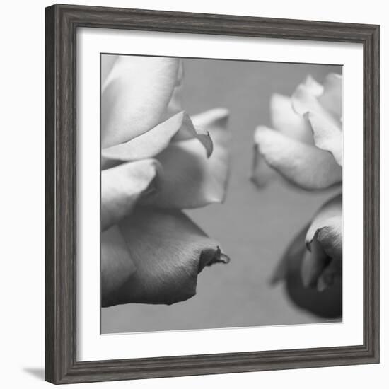 Rose Petals I-Nicole Katano-Framed Photo