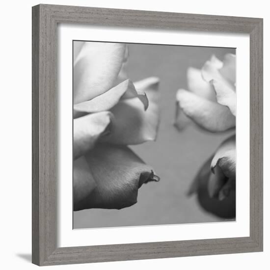 Rose Petals I-Nicole Katano-Framed Photo