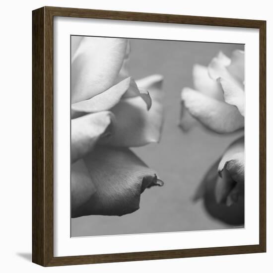 Rose Petals I-Nicole Katano-Framed Photo