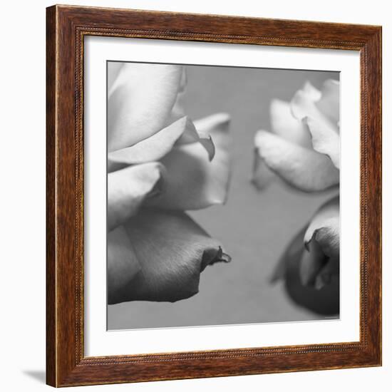 Rose Petals I-Nicole Katano-Framed Photo