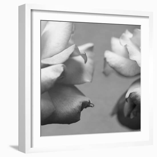 Rose Petals I-Nicole Katano-Framed Photo