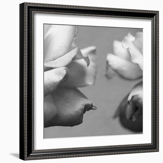 Rose Petals I-Nicole Katano-Framed Photo