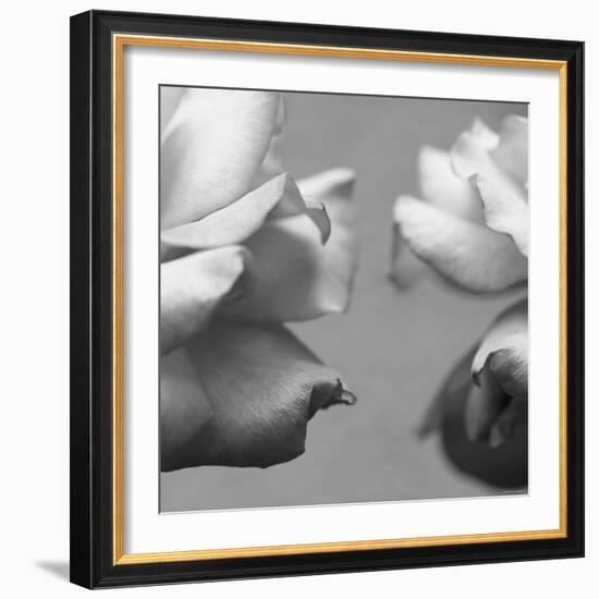 Rose Petals I-Nicole Katano-Framed Photo