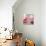 Rose Petals I-Nicole Katano-Photo displayed on a wall