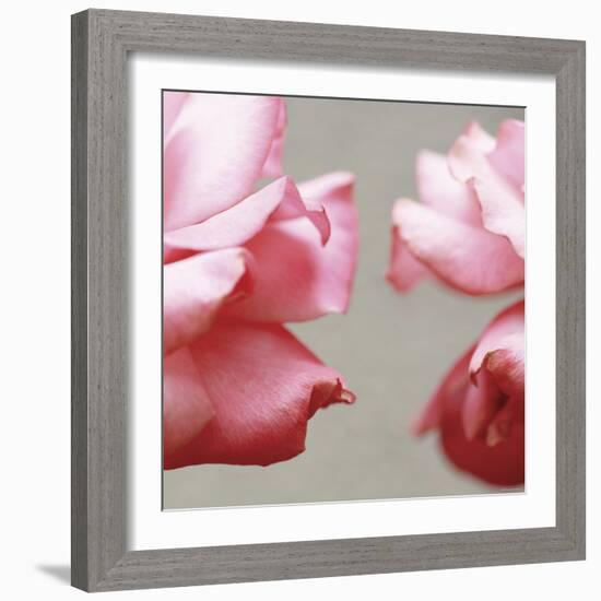 Rose Petals I-Nicole Katano-Framed Photo