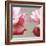 Rose Petals I-Nicole Katano-Framed Photo