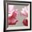 Rose Petals I-Nicole Katano-Framed Photo