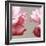 Rose Petals I-Nicole Katano-Framed Photo