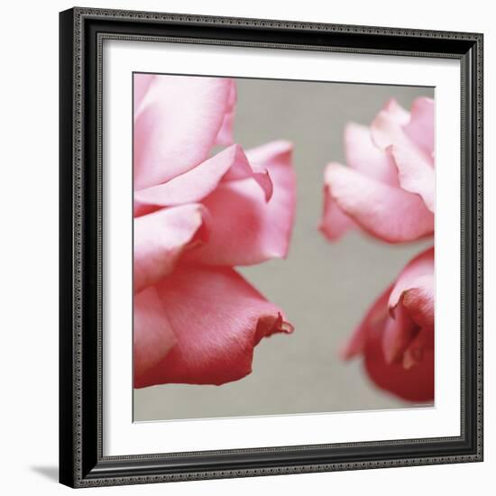 Rose Petals I-Nicole Katano-Framed Photo