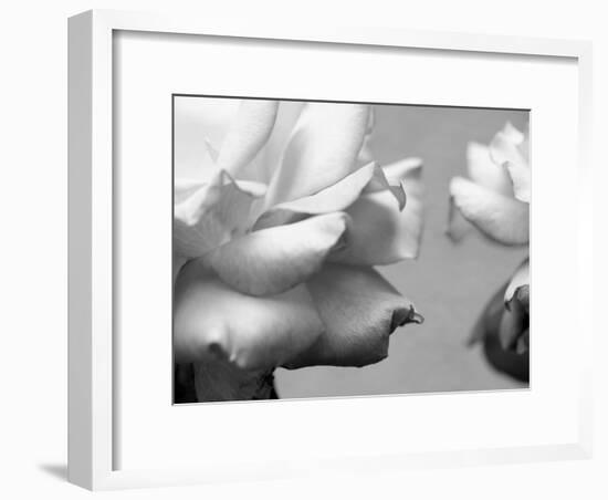 Rose Petals II-Nicole Katano-Framed Photo