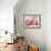 Rose Petals II-Nicole Katano-Framed Photo displayed on a wall