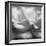 Rose Petals II-Nicole Katano-Framed Photo