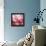 Rose Petals III-Nicole Katano-Framed Stretched Canvas displayed on a wall