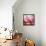 Rose Petals III-Nicole Katano-Framed Stretched Canvas displayed on a wall