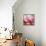 Rose Petals III-Nicole Katano-Framed Stretched Canvas displayed on a wall