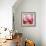 Rose Petals III-Nicole Katano-Framed Photo displayed on a wall