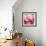 Rose Petals III-Nicole Katano-Framed Photo displayed on a wall