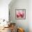 Rose Petals III-Nicole Katano-Framed Photo displayed on a wall