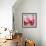 Rose Petals III-Nicole Katano-Framed Photo displayed on a wall