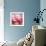 Rose Petals III-Nicole Katano-Framed Photo displayed on a wall