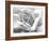 Rose Petals In Black And White-mypokcik-Framed Photographic Print