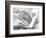 Rose Petals In Black And White-mypokcik-Framed Photographic Print