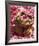 Rose Petals-Bruno Mazodier-Framed Art Print