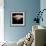 rose photography-Alex Caminker-Framed Photographic Print displayed on a wall