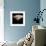 rose photography-Alex Caminker-Framed Photographic Print displayed on a wall