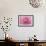 Rose Pink Rose-Cora Niele-Framed Giclee Print displayed on a wall