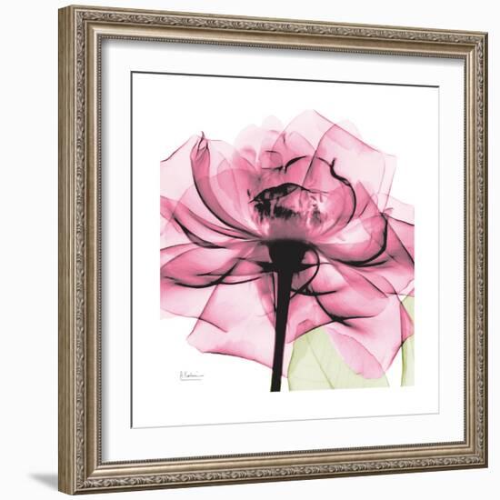 Rose Pink-Albert Koetsier-Framed Art Print